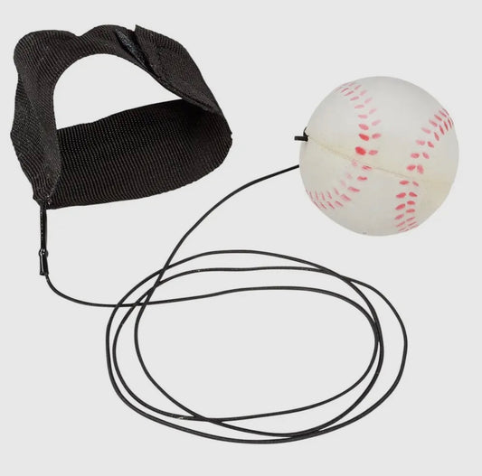 Baseball Return Toy